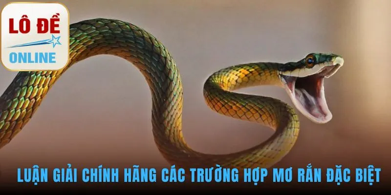Mơ Thấy Rắn Đánh Con Gì? Sổ Mơ Lô Đề Chính Thức Luận giải các trường hợp mơ thấy rắn đặc biệt và con số ẩn chứa
